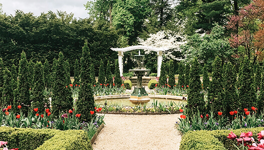 Transform Your Garden into a Summer Oasis with these Simple Steps